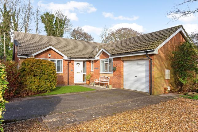 Detached bungalow for sale in Stone Close, Winterslow, Salisbury