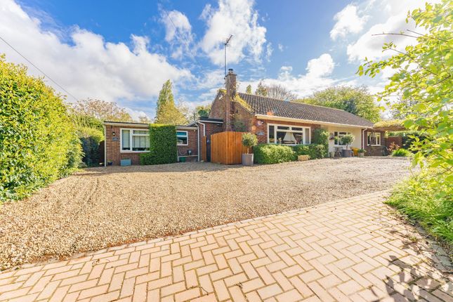 Thumbnail Detached bungalow for sale in Chapel Loke, Salhouse, Norwich