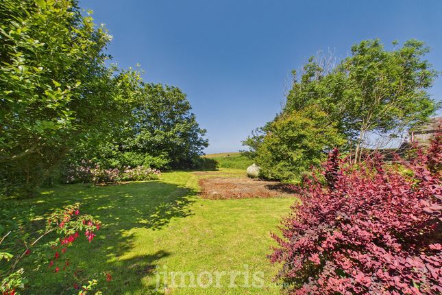 15 North End, Haverfordwest photo 4