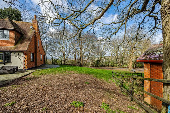 High Warren Fruit Farm, Vicarage Hill, Benfleet photo 3