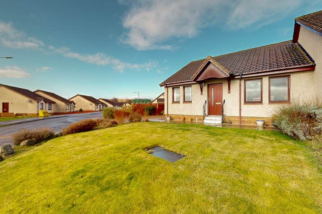 Semi-detached bungalow for sale in Honeyberry Drive, Blairgowrie