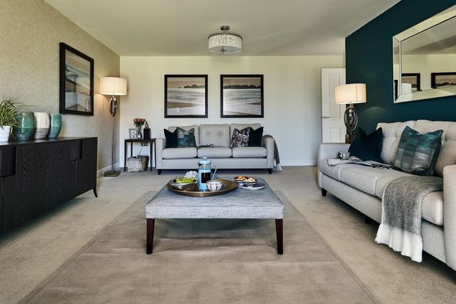 The Barclay - Plot 609, Letham Meadows, Off Davids Way, Haddington photo 3