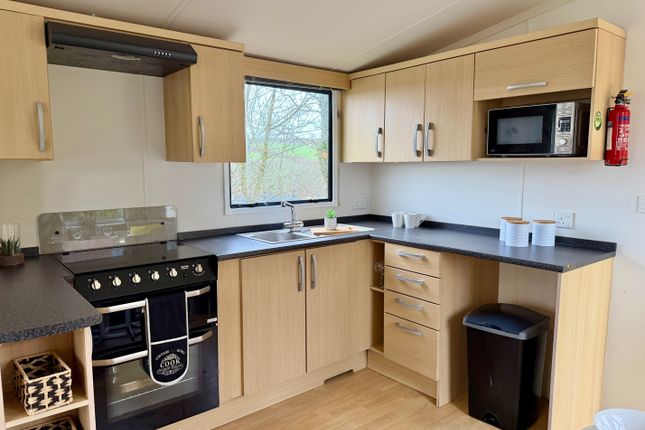 2, Hedley Wood Holiday Park, Holsworthy, Bude photo 4
