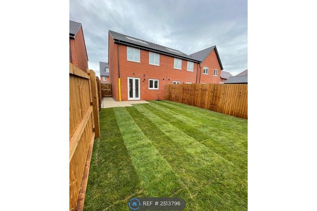 Back Garden
