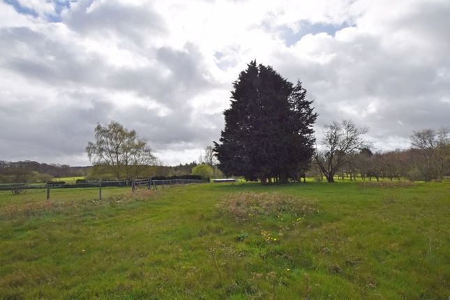 Land for sale in Main Road, Kingsley, Bordon
