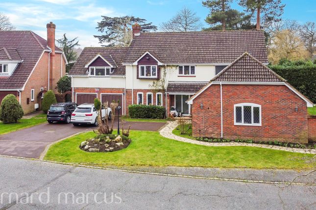 Thumbnail Detached house for sale in Walnut Drive, Kingswood, Tadworth