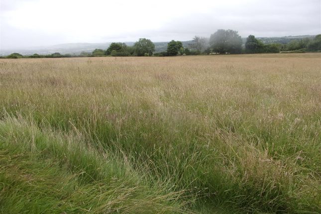Land for sale in Cardigan