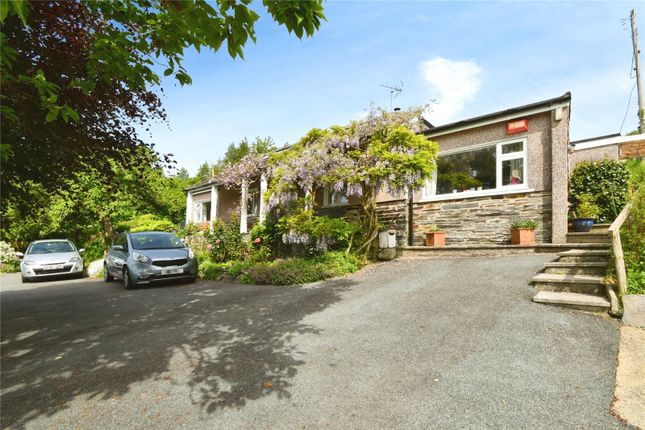 Thumbnail Bungalow for sale in Llechryd, Cardigan, Ceredigion