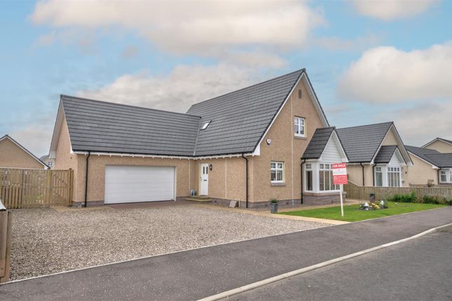 Thumbnail Detached house for sale in Merlin Grove, Forfar