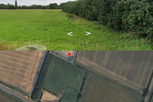 Thumbnail Land for sale in Common Road, Diss