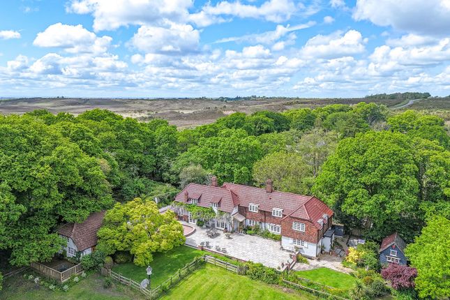 Thumbnail Detached house for sale in Burley Street, Burley, Ringwood