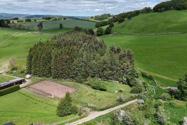 Thumbnail Land for sale in Scottish Borders, Selkirk