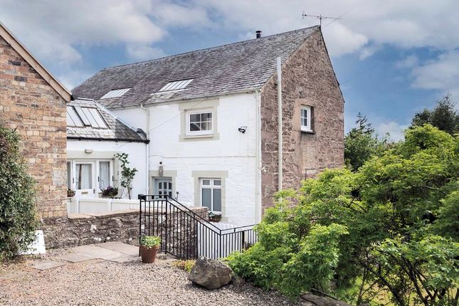 Thumbnail Semi-detached house to rent in Comrie Street, Crieff