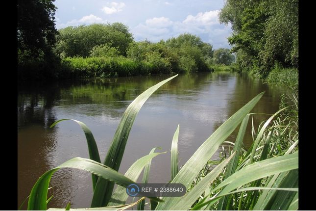 The Beautiful River Wensum From The Private Bank