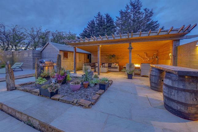 Side Garden By Night