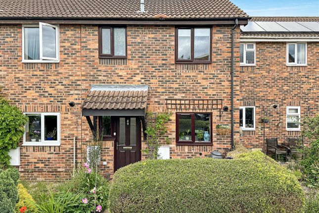 Thumbnail Terraced house for sale in Harebell Close, Cherry Hinton, Cambridge