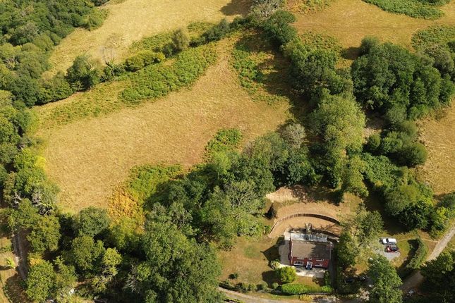 Ty Coch Farm, Taliaris, Llandeilo photo 2