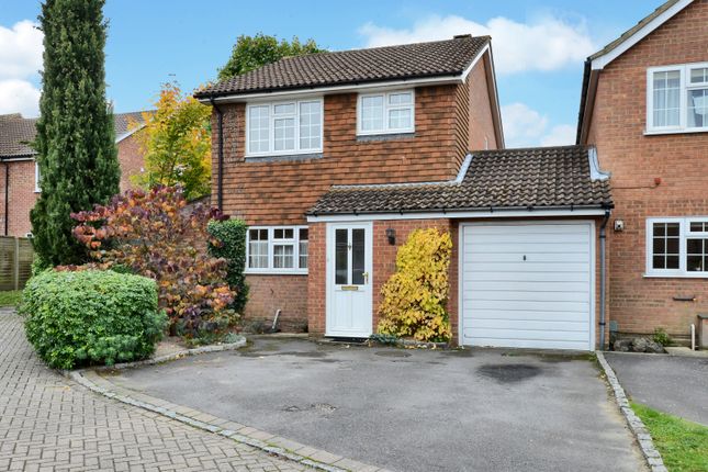 Thumbnail Semi-detached house for sale in Marigold Drive, Bisley, Woking