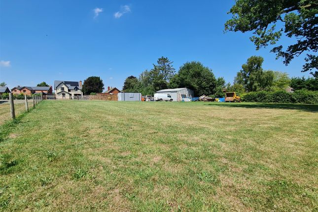 Paddock 2.Jpg