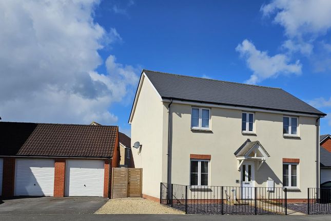 Image of 16 Shire Street, Bridgwater, TA6 6FQ