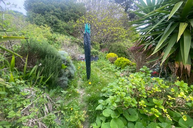 West Flat, Silver Mist, Victoria Street, Ventnor photo 2