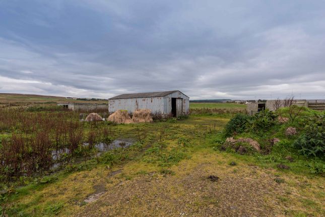 Bungalow for sale in Mid Clyth, Caithness, Highland