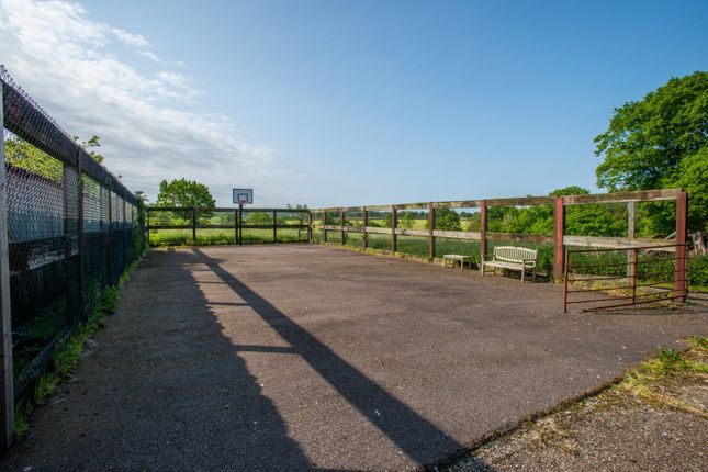 Basketball Court