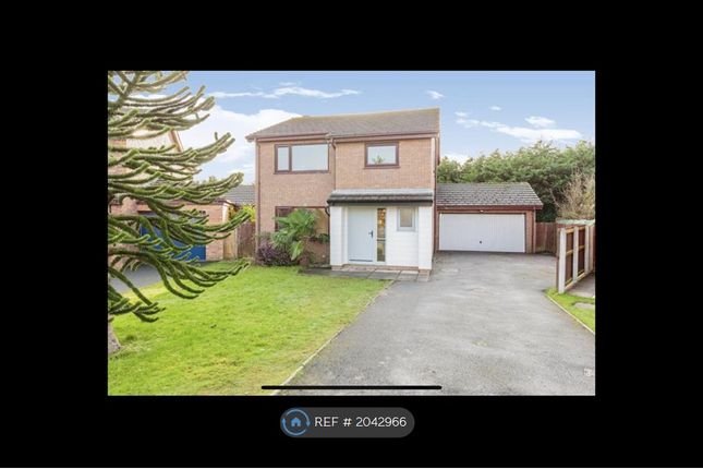 Detached house to rent in Meadow Park, Cabus, Preston