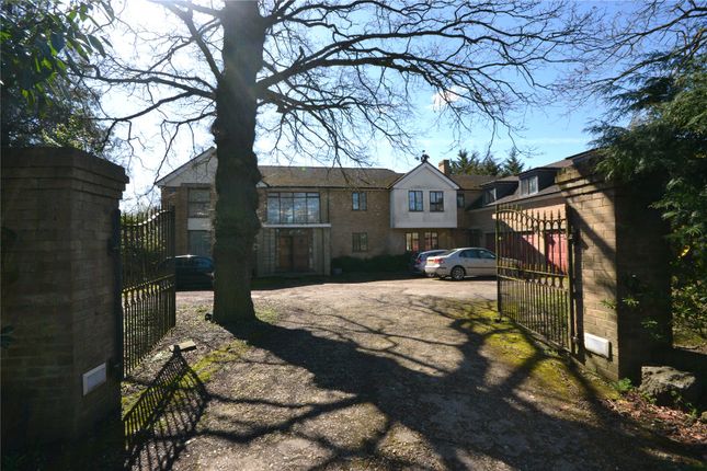 50, Beech Hill photo 2
