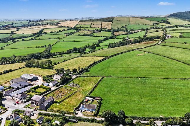 Bwlchygroes Shop & Farm Feeds, Llanfyrnach photo 3