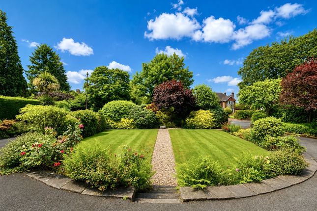 53 Ivy Lane, Macclesfield photo 3