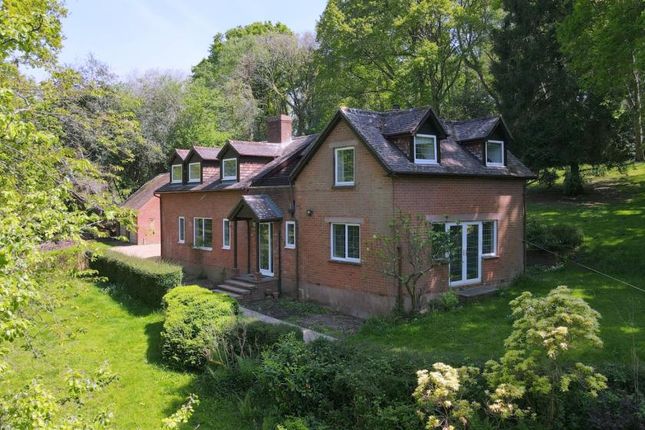 Thumbnail Property for sale in Buddle Hill, North Gorley