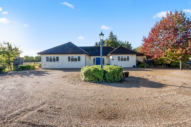 4-bed house on Otford Lane, Halstead, £3,750/mo