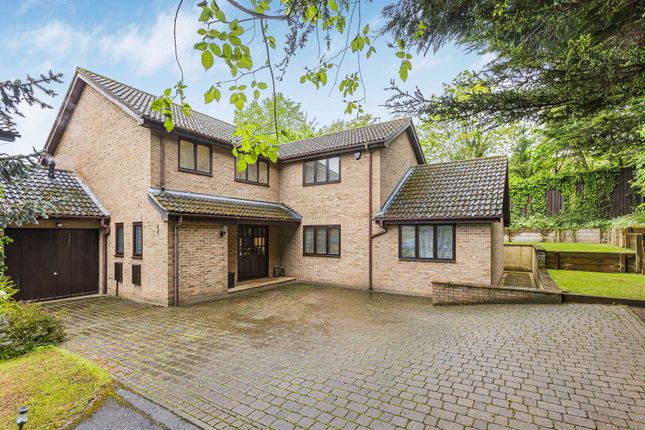 Thumbnail Detached house for sale in Foxglove Way, Welwyn