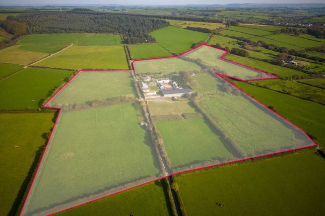 Land for sale in Rhydlewis, Llandysul