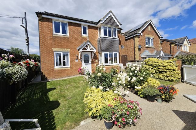 c9702800-5Ed7-4E5F-A310-8ee8F8c16096