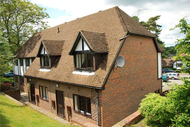 Detached house to rent in Broad Ha'penny, Boundstone, Farnham, Surrey