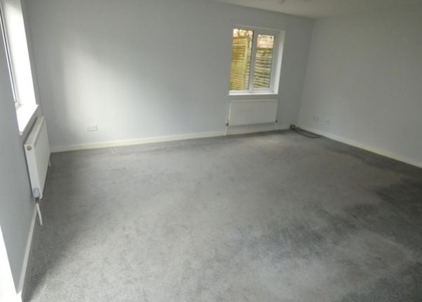 Picture5