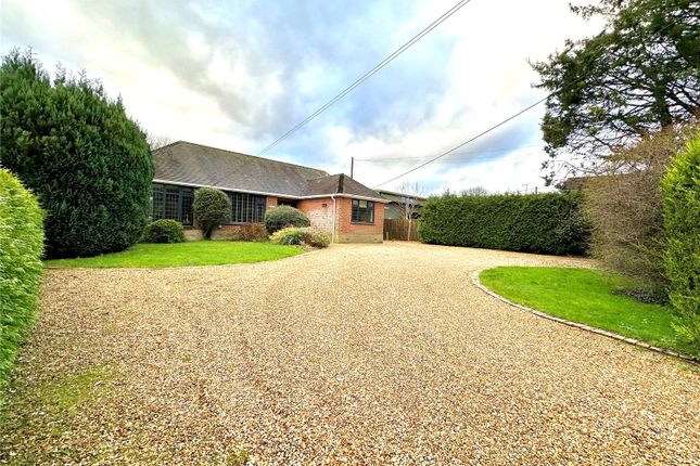 Thumbnail Bungalow for sale in South Gorley, Ringwood, Hampshire