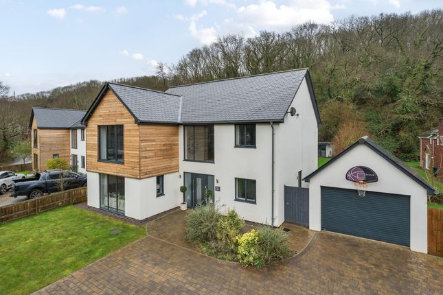 Thumbnail Detached house for sale in Pocombe Bridge, Exeter