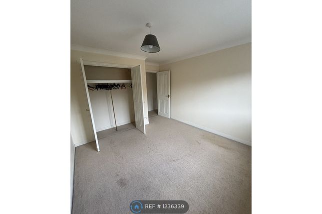 Detached house to rent in Harrow Way, Reading