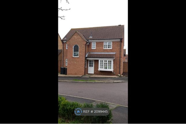 Thumbnail Detached house to rent in Wells Close, Kempston, Bedford