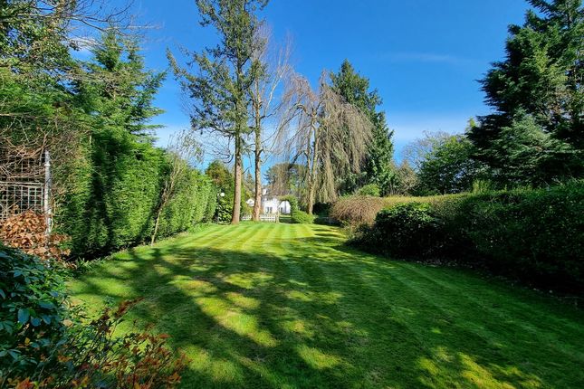 The White House, Bakeham Lane, Egham photo 2