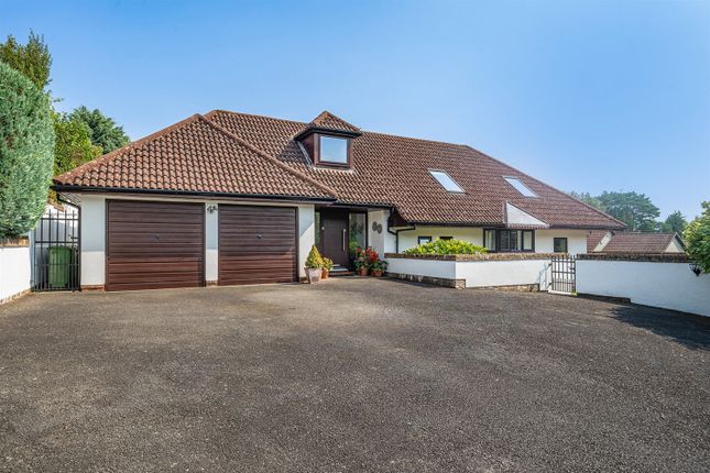 Thumbnail Detached bungalow for sale in Silverwood Copse, West Chiltingon, West Sussex