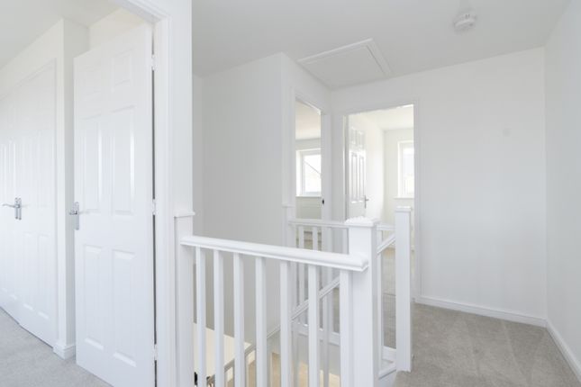 Plot 241, Renmore, Sutterton photo 4