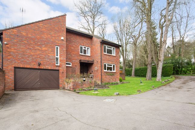 Thumbnail Detached house for sale in High Molewood, Hertford