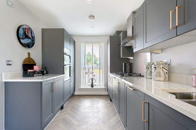 Plot 284 The Owlton,, Alresford Down, Alresford photo 4