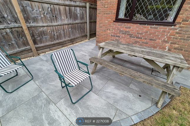 Patio Area