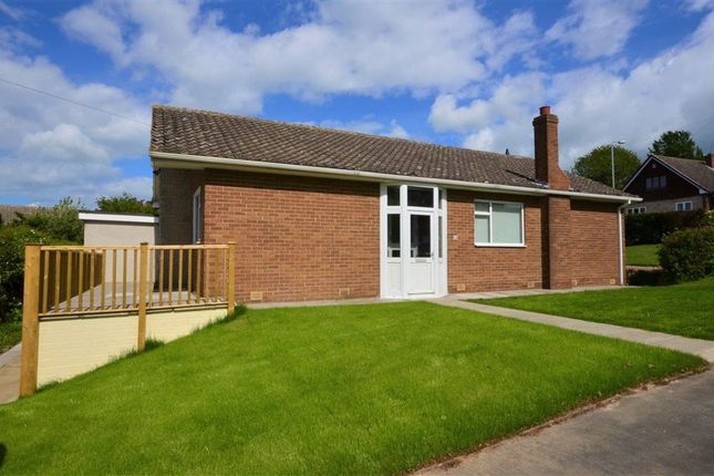 Thumbnail Bungalow to rent in The Croft, Badsworth