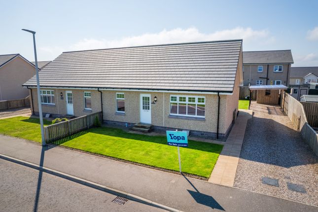 Thumbnail Semi-detached bungalow for sale in Merlin Gardens, Forfar